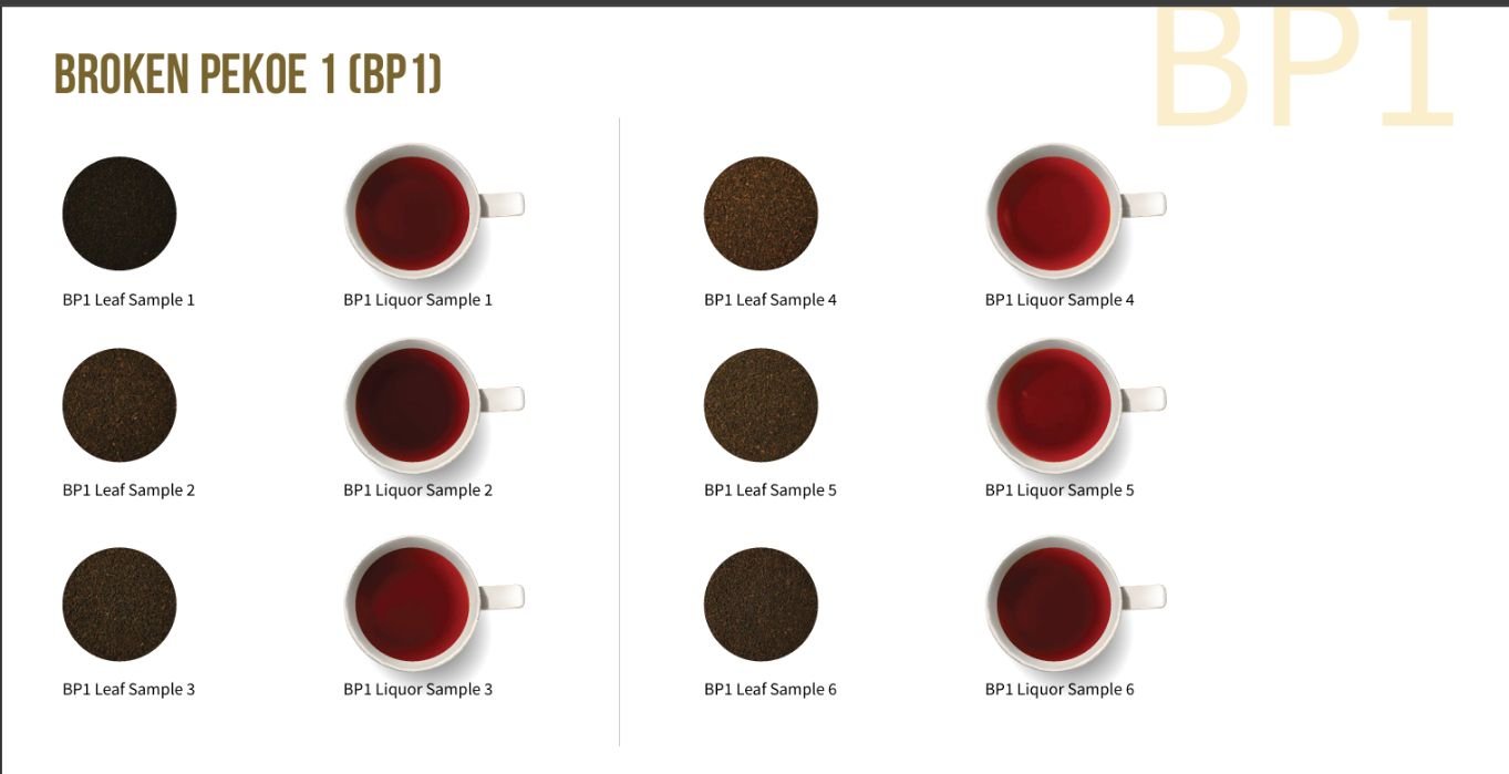 BP1 (Broken Pekoe 1)