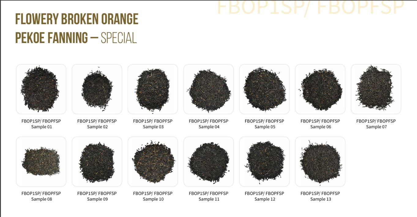 FBOPFSP (Flowery Broken Orange Pekoe Fanning Special)