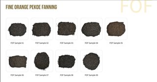 FOF (Fine Orange Pekoe Fanning)