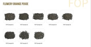 FOP (Flowery Orange Pekoe)