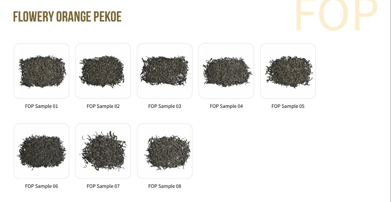FOP (Flowery Orange Pekoe)