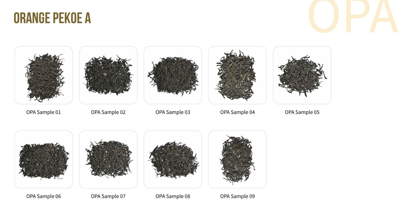 OPA (Orange Pekoe A)