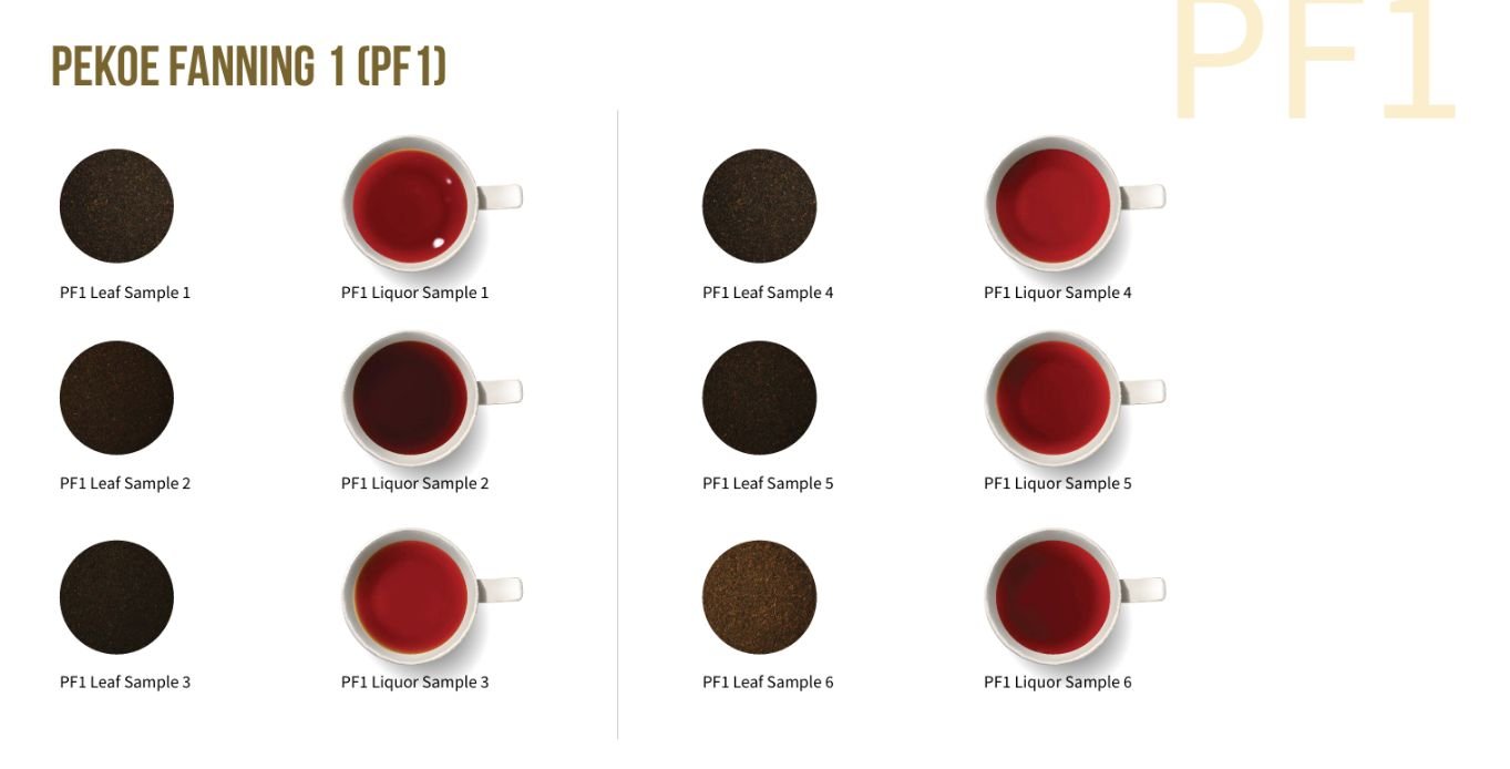 PF1 (Pekoe Fanning 1)
